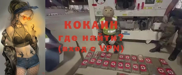твердый Аркадак