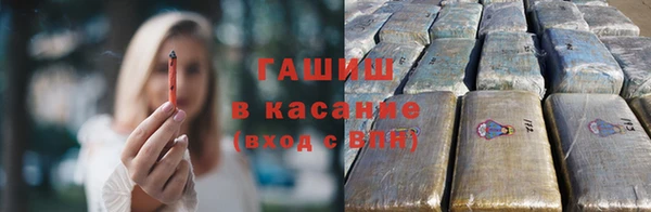 твердый Аркадак