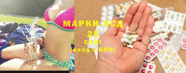 твердый Аркадак